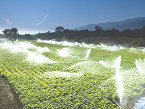 Farmland Irrigation